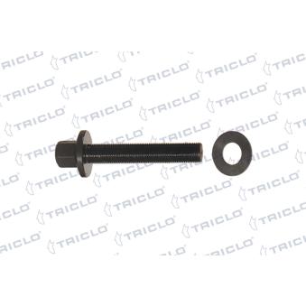 Vis, chaise de palier-vilebrequin TRICLO [332626]