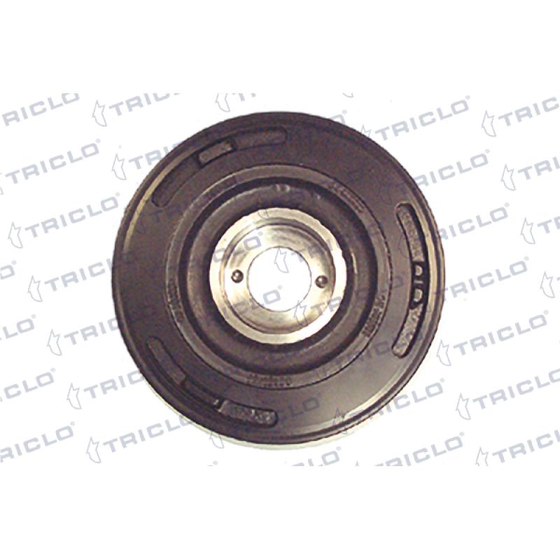 Poulie, vilebrequin TRICLO 421209 - Visuel 1
