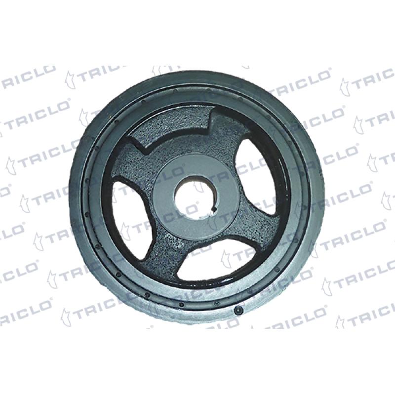 Poulie, vilebrequin TRICLO 425812 - Visuel 1