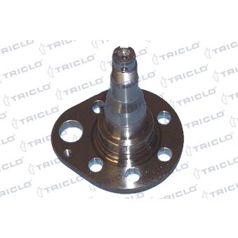 Fusée d'essieu, suspension de roue arrière droit TRICLO OEM 191501117C