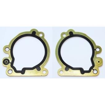 Joint d'étanchéité, pompe à carburant ELRING [246.460]