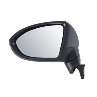 Rétroviseur extérieur BLIC [5402-01-1617310P]