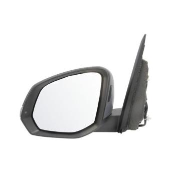 Rétroviseur extérieur BLIC 5402-01-2583312P pour VOLKSWAGEN MULTIVAN 2,0 TDI - 150cv