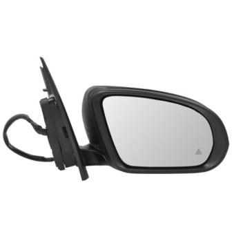 Rétroviseur extérieur BLIC OEM 2478109005