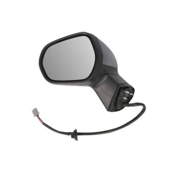 Rétroviseur extérieur BLIC 5402-03-2326312P pour NISSAN JUKE 1.5 EcoBlue - 120cv