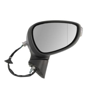 Rétroviseur extérieur BLIC OEM 1767513