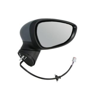 Rétroviseur extérieur BLIC [5402-04-1112395P]