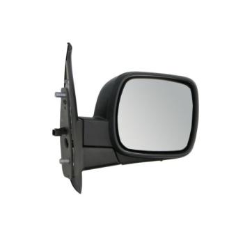 Rétroviseur extérieur BLIC OEM 7701068839