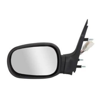 Rétroviseur extérieur BLIC OEM 7700826681