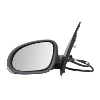 Rétroviseur extérieur BLIC OEM 1K0949101