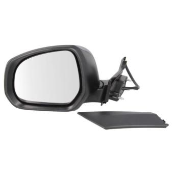 Rétroviseur extérieur BLIC 5402-04-2001971P