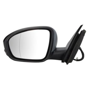 Rétroviseur extérieur BLIC 5402-09-1231361P