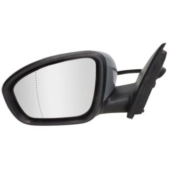 Rétroviseur extérieur BLIC 5402-09-1231363P