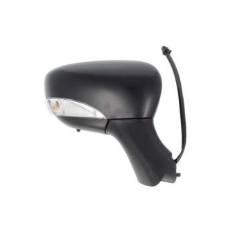 Rétroviseur extérieur BLIC OEM 963654973R