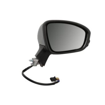 Rétroviseur extérieur BLIC 5402-09-2313313P