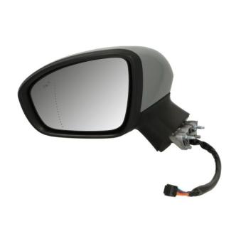 Rétroviseur extérieur BLIC 5402-09-2313314P