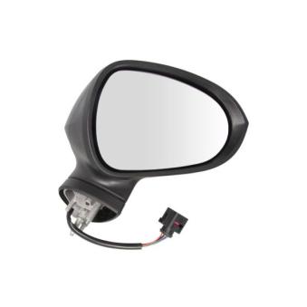 Rétroviseur extérieur BLIC OEM 6J0857522H