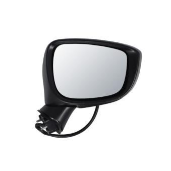 Rétroviseur extérieur BLIC OEM DB2R69121B