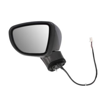 Rétroviseur extérieur BLIC 5402-16-2104312P