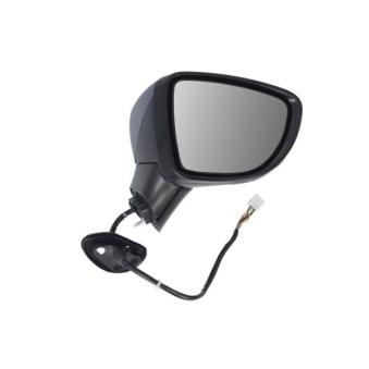 Rétroviseur extérieur BLIC OEM 963015fa0c Rétroviseur extérieur BLIC OEM 963015fa0c