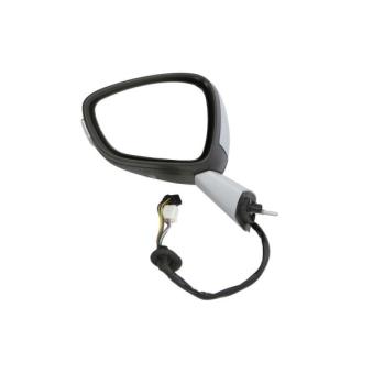 Rétroviseur extérieur BLIC OEM 1609430380