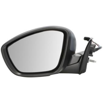 Rétroviseur extérieur BLIC 5402-21-2142312P