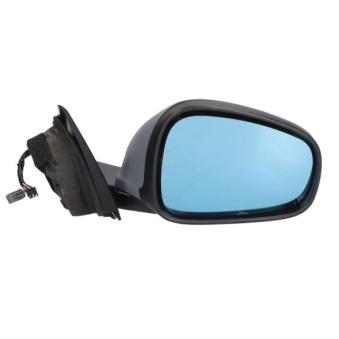 Rétroviseur extérieur BLIC OEM 156091421