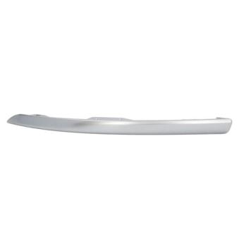 Baguette et bande protectrice, pare-chocs avant gauche BLIC 5513-00-3207923DP pour JEEP GRAND CHEROKEE 5.7 HEMI 4x4 - 352cv
