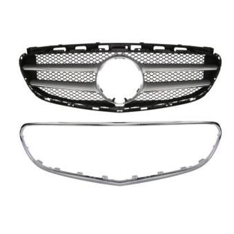 Grille de radiateur BLIC 5601-00-3529993PP