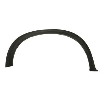 Baguette et bande protectrice, aile arrière droit BLIC 5703-04-0096596KP