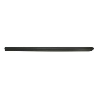 Baguette et bande protectrice, aile avant gauche BLIC 5703-04-2042571P pour VOLKSWAGEN GOLF 1.9 JTD - 100cv