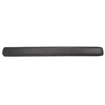 Baguette et bande protectrice, aile avant gauche BLIC 5703-04-2042571PP