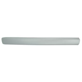 Baguette et bande protectrice, aile avant gauche BLIC 5703-04-2042575P