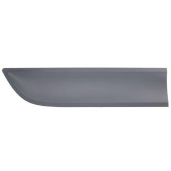 Baguette et bande protectrice, porte avant droit BLIC 5703-04-5724578P