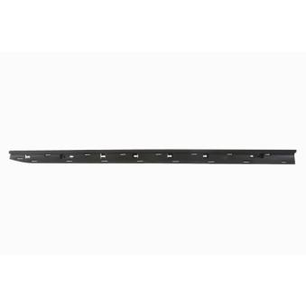 Baguette et bande protectrice, porte avant droit BLIC 5703-04-6001572P