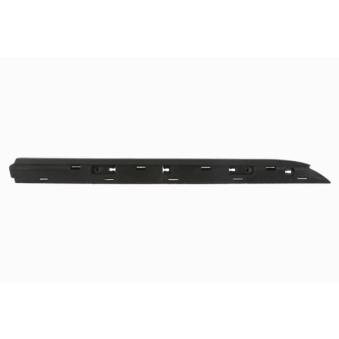 Baguette et bande protectrice, porte arrière droit BLIC 5703-04-6001574P