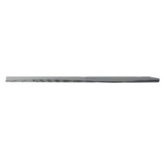 Baguette et bande protectrice, porte avant droit BLIC 5703-04-6001576P