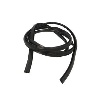 Baguette et bande protectrice, pare-brise avant droit BLIC 5703-04-6037883Q