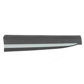 Baguette et bande protectrice, porte avant gauche BLIC OEM 10423724 Baguette et bande protectrice, porte avant gauche BLIC OEM 10423724