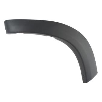 Baguette et bande protectrice, aile arrière droit BLIC 5703-04-8179598P pour TOYOTA RAV 4 2.0 VVTI 4WD - 150cv