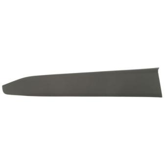 Baguette et bande protectrice, porte avant gauche BLIC [5703-04-8182571P]