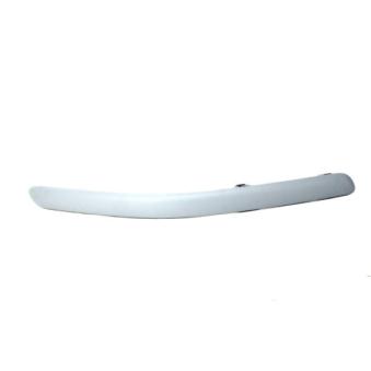 Baguette et bande protectrice, pare-chocs avant droit BLIC [5703-05-8161922P]