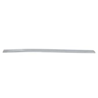 Baguette et bande protectrice, pare-chocs avant gauche BLIC 5703-05-9579925P