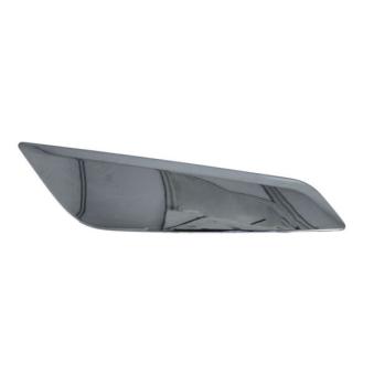 Baguette et bande protectrice, aile avant droit BLIC 5703-08-0068374P