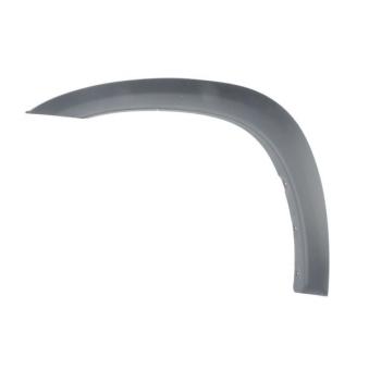 Baguette et bande protectrice, aile avant gauche BLIC 5703-08-8179373P