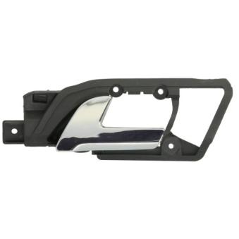 Poignet de porte, équipment intérieur avant gauche BLIC [6010-01-1597409TP]