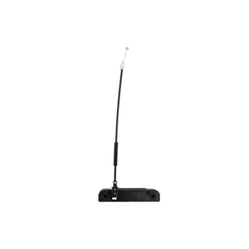 Poignet de porte, équipment intérieur arrière droit BLIC 6010-03-014410WP - Visuel 1