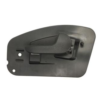 Poignet de porte, équipment intérieur arrière droit BLIC 6010-04-040408TP