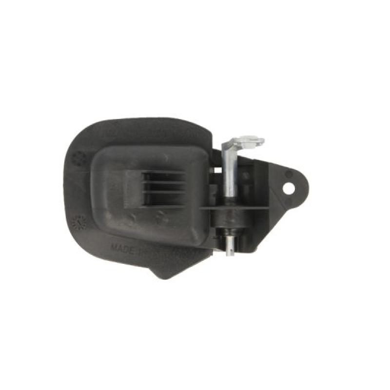 Poignet de porte, équipment intérieur avant gauche BLIC 6010-05-004409P - Visuel 1