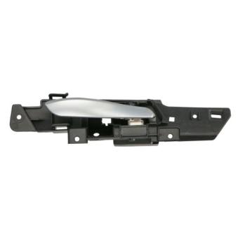 Poignet de porte, équipment intérieur arrière droit BLIC 6010-05-022408TP
